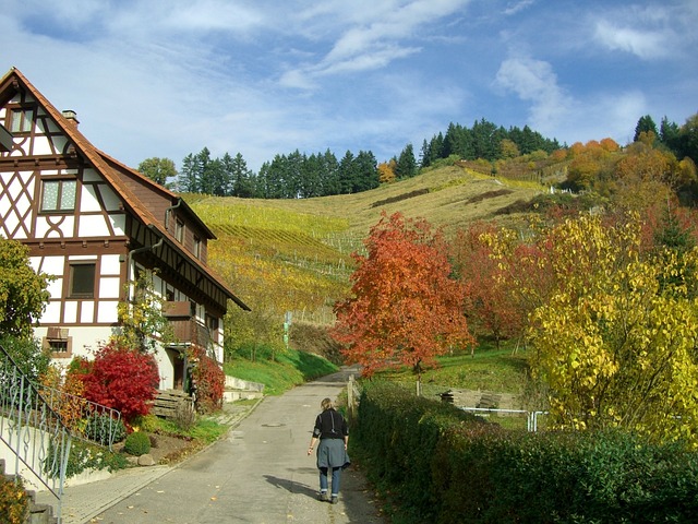 Pflegeimmobilie in Oberkirch